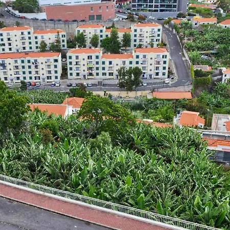 Design Gardens, A In Madeira Funchal (Madeira)